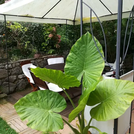 Casa Nueva Carmen * Pendueles