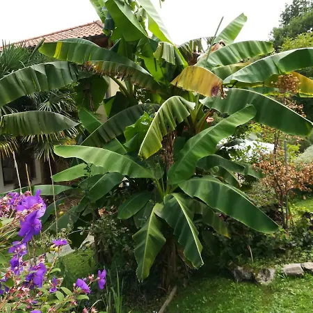 Casa Nueva Carmen Pendueles