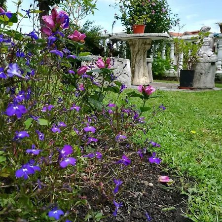 Casa Nueva Carmen Lantställe Pendueles