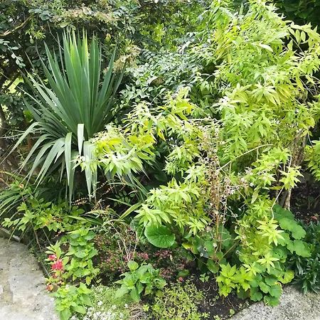 Lantställe Casa Nueva Carmen